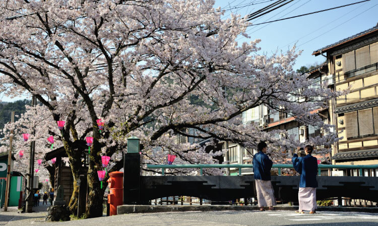 KINOSAKI ONSEN