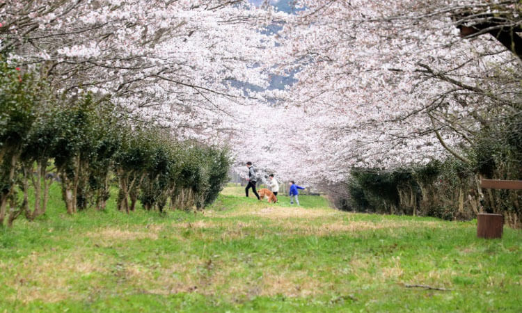 KANNABE MOUNTAINS