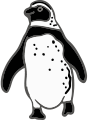 marine world penguin